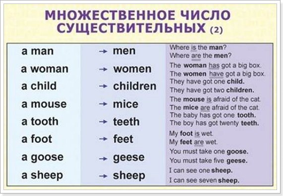 myshi i drugie isklyucheniya vo mnozhestvennom chisle8 «Миші» і інші виключення у множині