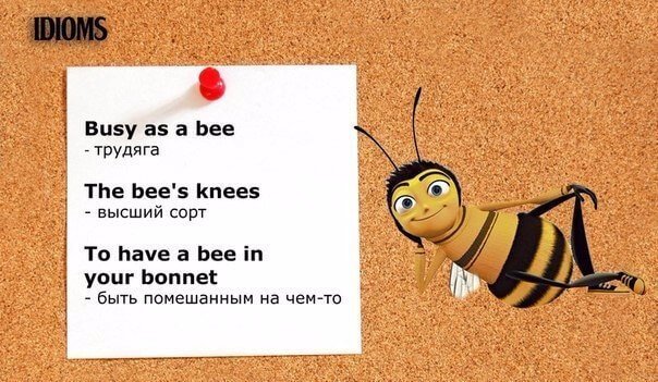 Ідіоми англійської мови з перекладом idiomy anglijjskogo yazyka s perevodom1 Ідіоми англійської мови з перекладом