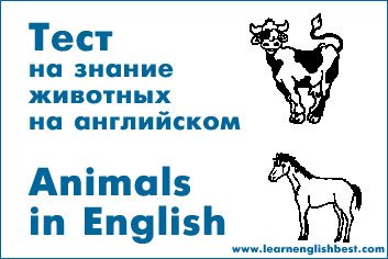 Тести для перевірки знань англійської, запамятовування слів і пройденого матеріалу LEARN ENGLISH Вчимо англійську самостійно вдома, швидко і безкоштовно testy dlya proverki znanijj anglijjskogo, zapominaniya slov i projjdennogo materiala learn english uchim anglijjskijj samostoyatelno doma, bystro i besplatno703 Тести для перевірки знань англійської, запамятовування слів і пройденого матеріалу LEARN ENGLISH Вчимо англійську самостійно вдома, швидко і безкоштовно