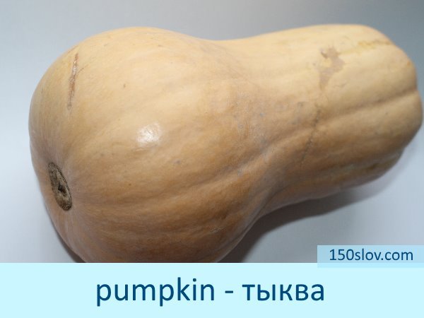 11b505f6af64bd03c3feaff82293c9c6 Картки з англійської мови зі словами