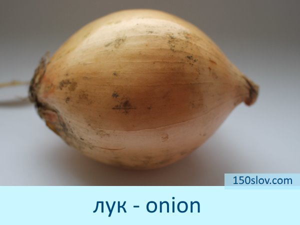 3a7bc1a12d034848f27901967dd540b3 Картки з англійської мови зі словами