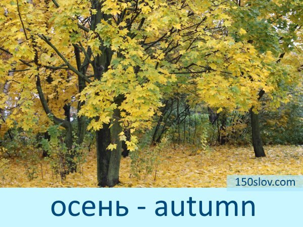 4c4f1426547c5998a5f4c8a5025945c7 Картки з англійської мови зі словами