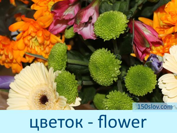 6f93a141430549e3328fc96c718528c9 Картки з англійської мови зі словами